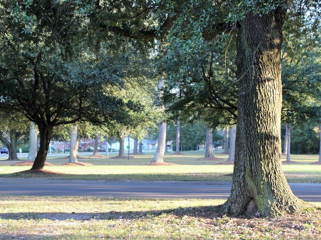 Photo of University of Mount Olive