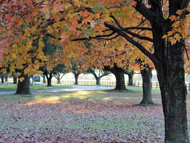 Photo of University of Mount Olive