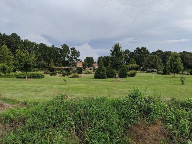 Photo of University of Mount Olive