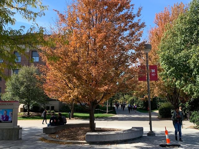 Photo of University of Nebraska-Lincoln