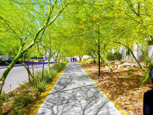 Photo of University of Nevada-Las Vegas