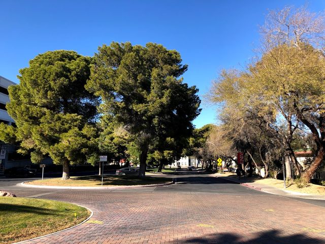 Photo of University of Nevada-Las Vegas