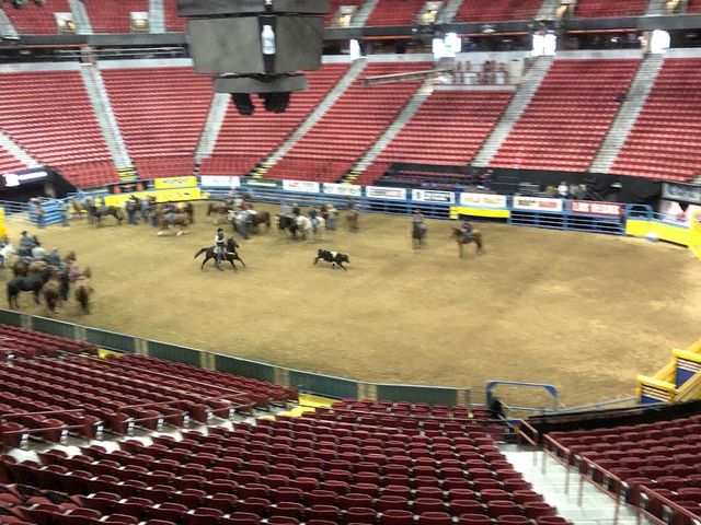 Photo of University of Nevada-Las Vegas