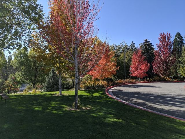 Photo of University of Nevada-Reno