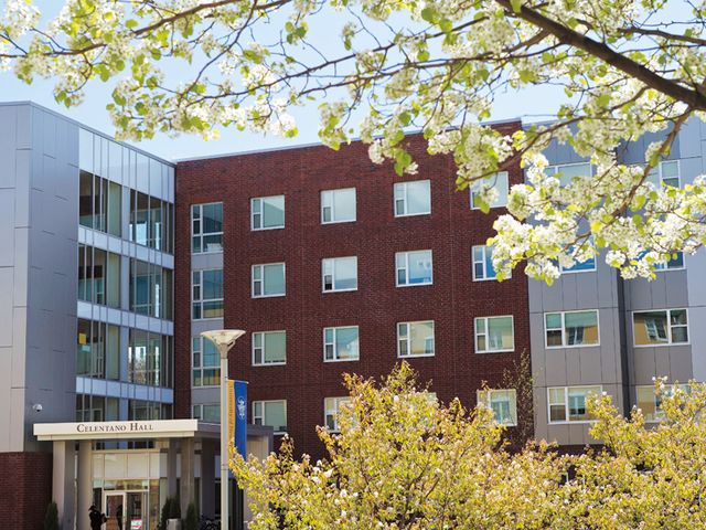 Photo of University of New Haven