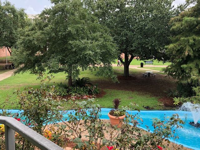 Photo of University of New Orleans