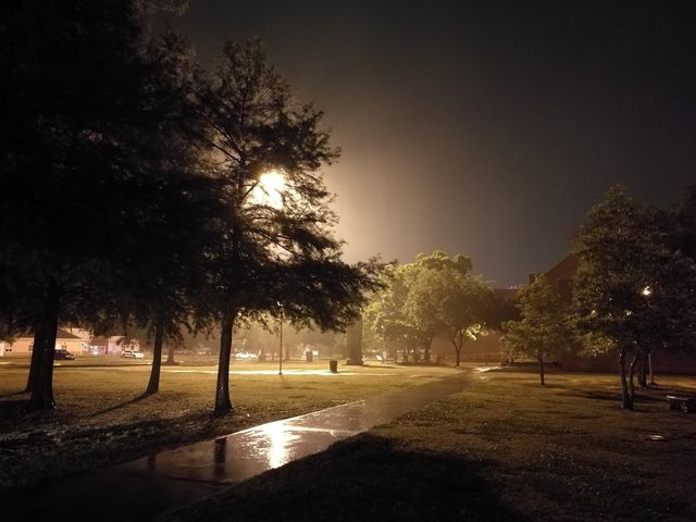 Photo of University of New Orleans