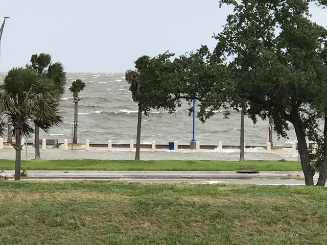 Photo of University of New Orleans