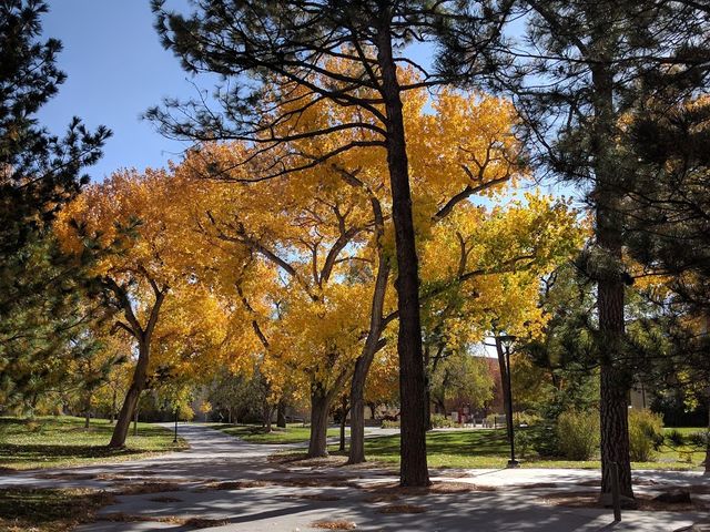Photo of University of New Mexico-Main Campus