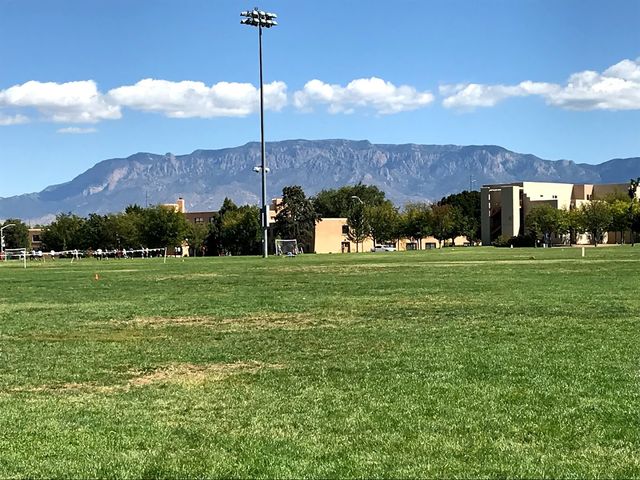 Photo of University of New Mexico-Main Campus