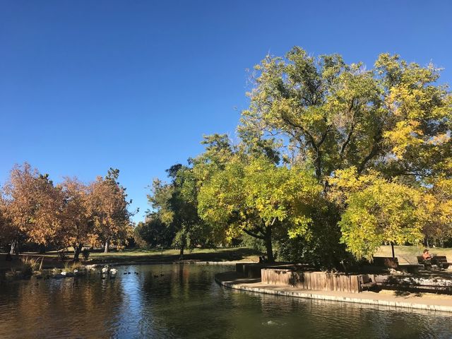 Photo of University of New Mexico-Main Campus