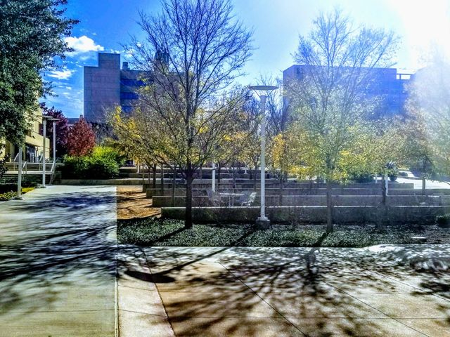 Photo of University of North Texas Health Science Center