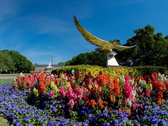 Photo of University of North Carolina Wilmington