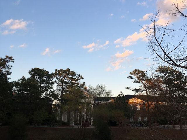 Photo of University of North Carolina Wilmington