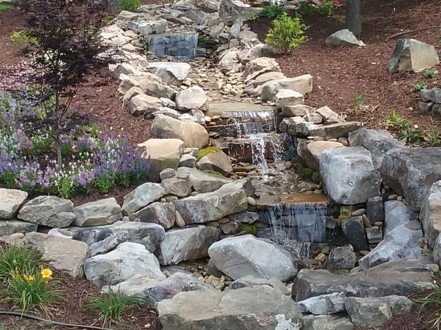 Photo of University of North Carolina at Charlotte