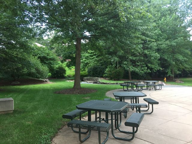 Photo of University of North Carolina School of the Arts