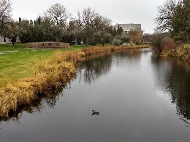Photo of University of North Dakota