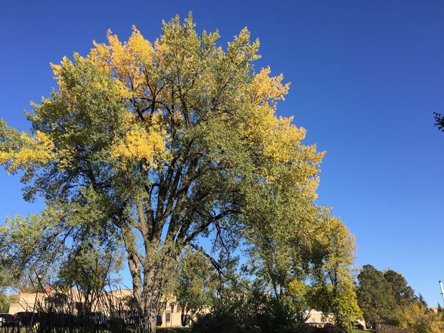 Photo of University of North Dakota