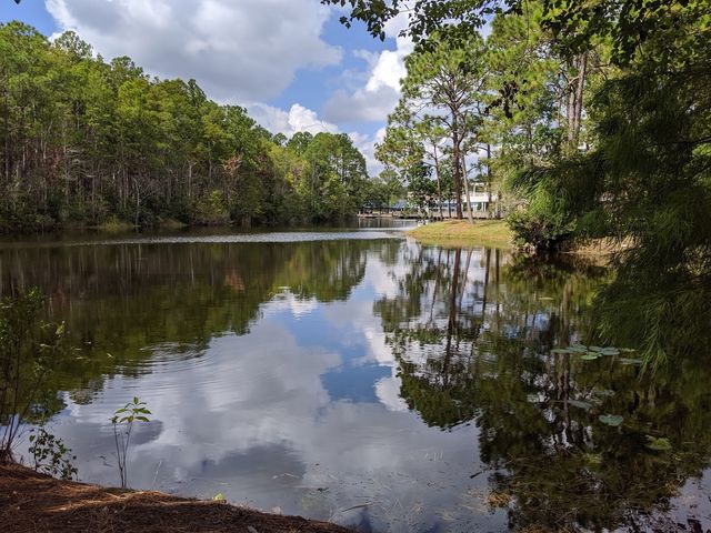 Photo of University of North Florida