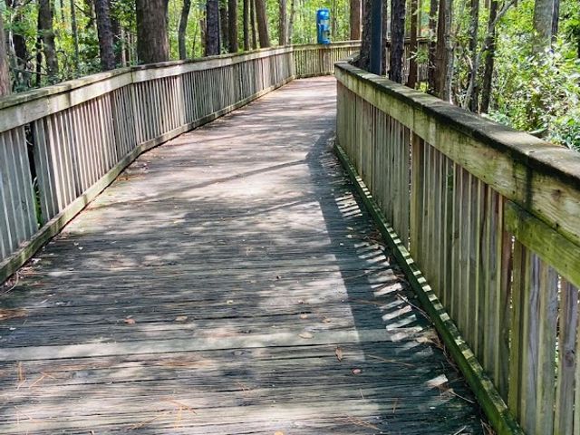 Photo of University of North Florida