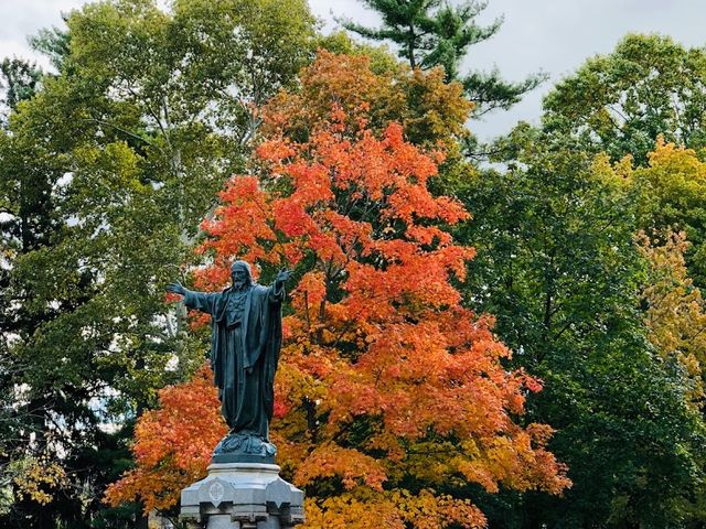 Photo of University of Notre Dame -