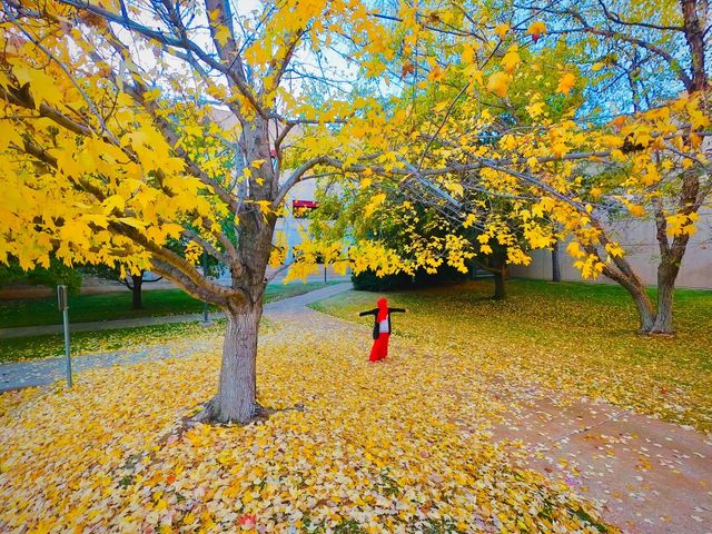 Photo of University of Oklahoma-Health Sciences Center