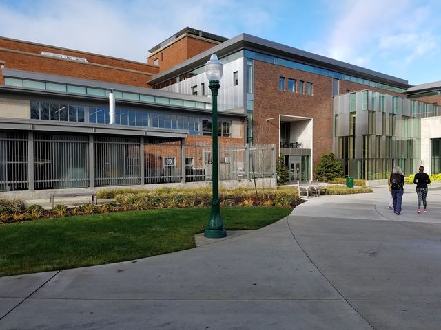 Photo of University of Oregon