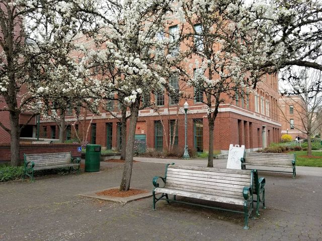 Photo of University of Oregon