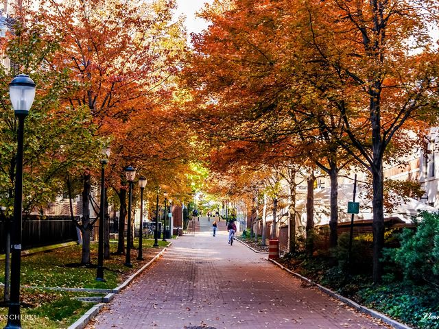 Photo of University of Pennsylvania