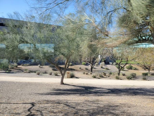 Photo of University of Phoenix-Arizona