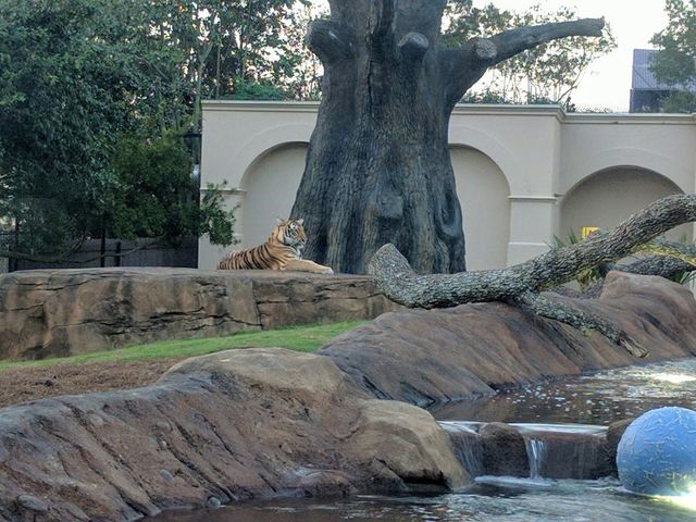 Photo of University of Phoenix-Louisiana
