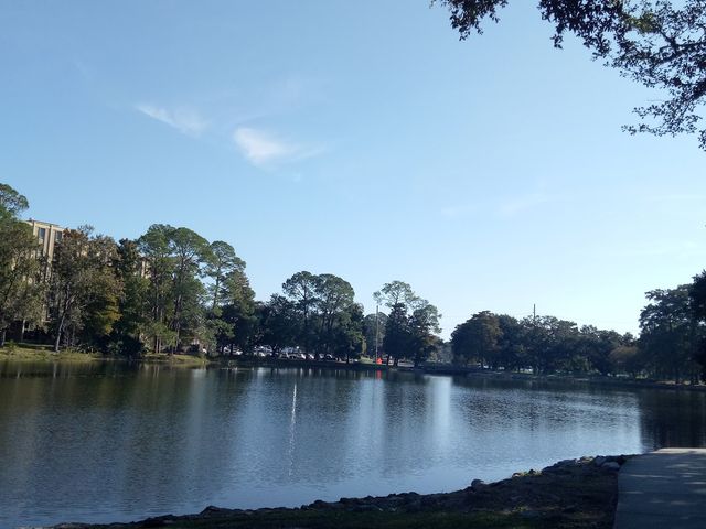 Photo of University of Phoenix-Louisiana