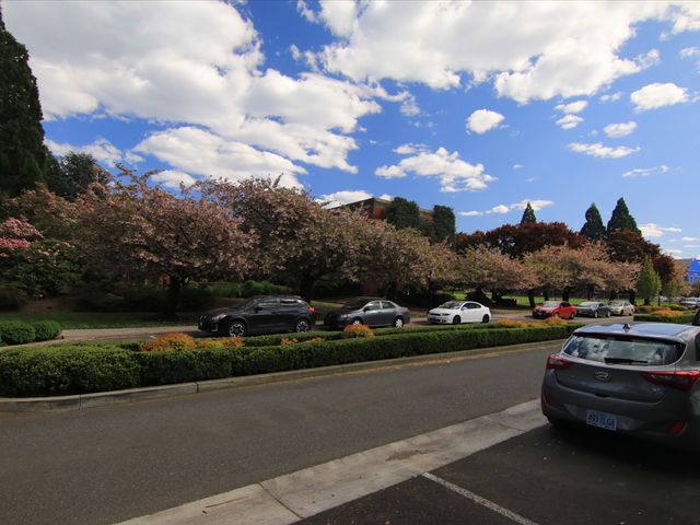 Photo of University of Portland