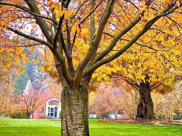 Photo of University of Portland