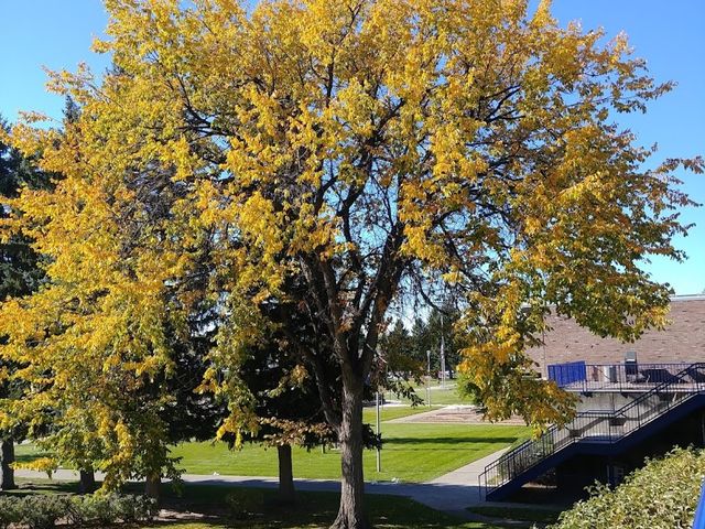 Photo of University of Providence