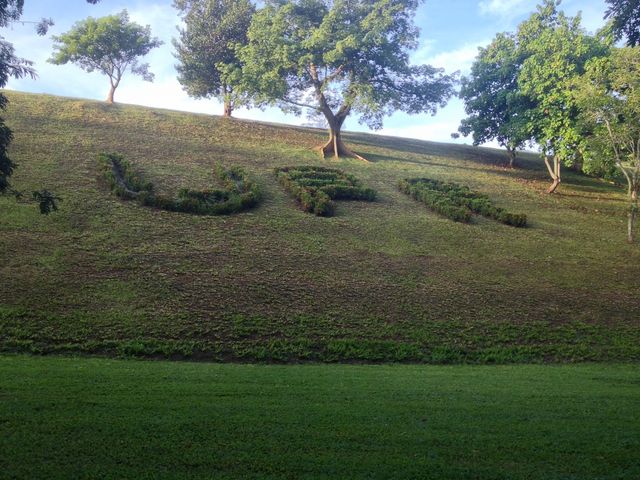 Photo of University of Puerto Rico-Utuado