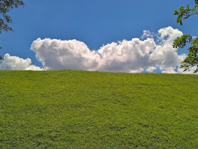 Photo of University of Puerto Rico-Utuado
