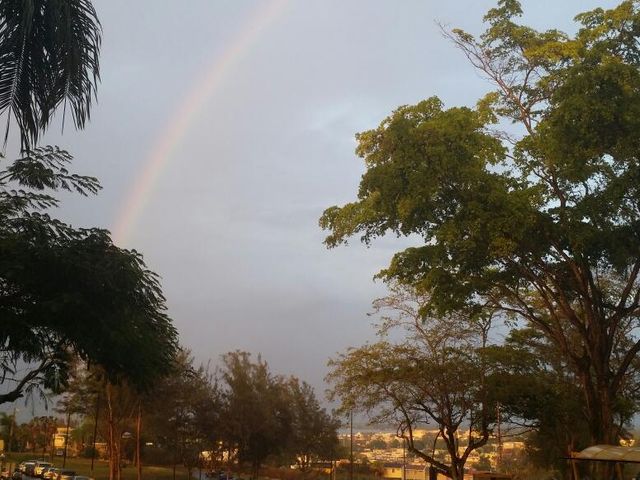 Photo of University of Puerto Rico-Arecibo