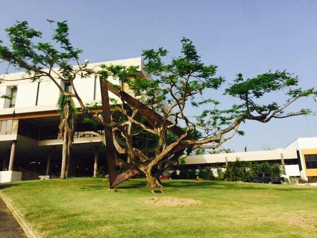Photo of University of Puerto Rico-Arecibo