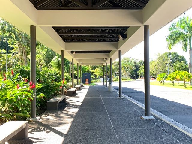 Photo of University of Puerto Rico-Carolina