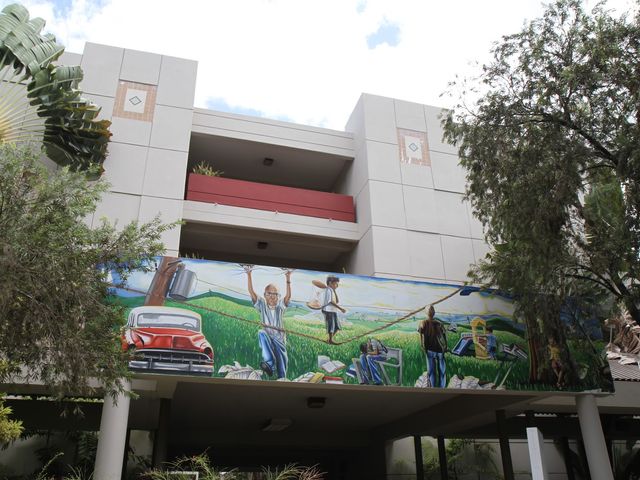 Photo of University of Puerto Rico-Carolina