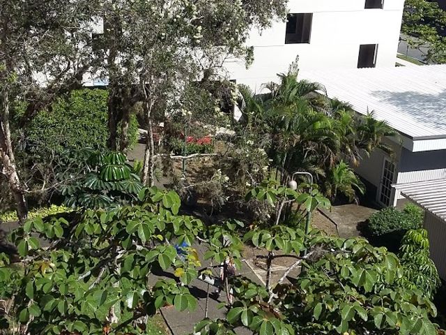 Photo of University of Puerto Rico-Carolina