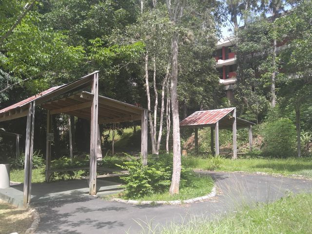 Photo of University of Puerto Rico-Carolina
