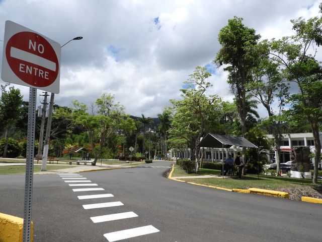 Photo of University of Puerto Rico-Cayey