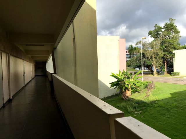 Photo of University of Puerto Rico-Mayaguez
