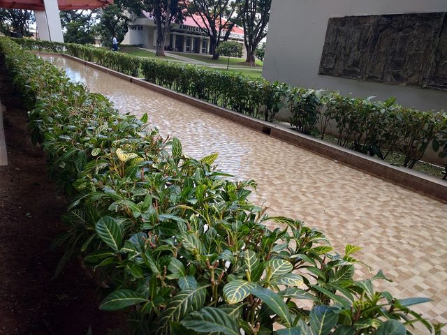 Photo of University of Puerto Rico-Medical Sciences