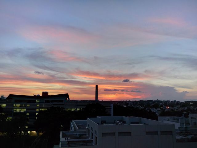 Photo of University of Puerto Rico-Medical Sciences
