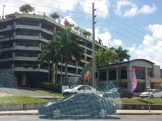 Photo of University of Puerto Rico-Medical Sciences