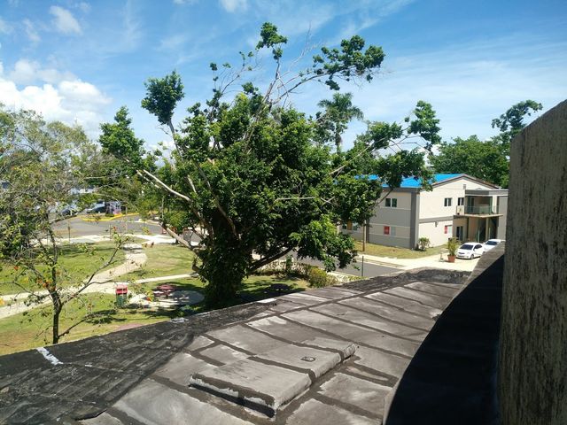 Photo of University of Puerto Rico-Rio Piedras