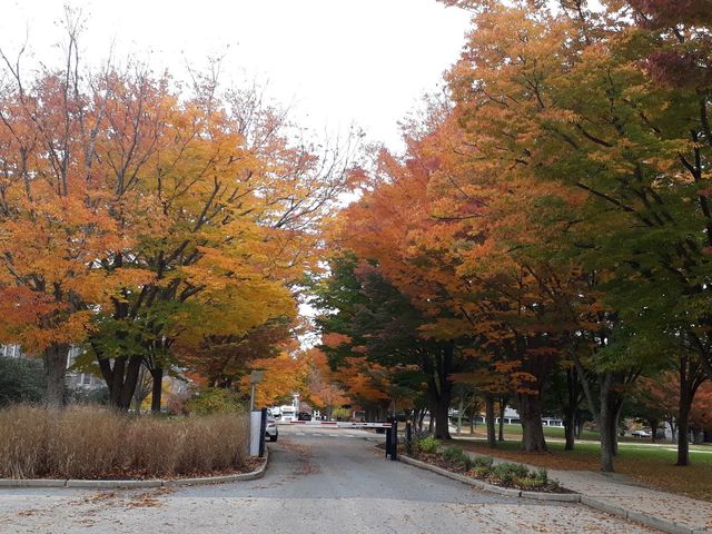 Photo of University of Rhode Island